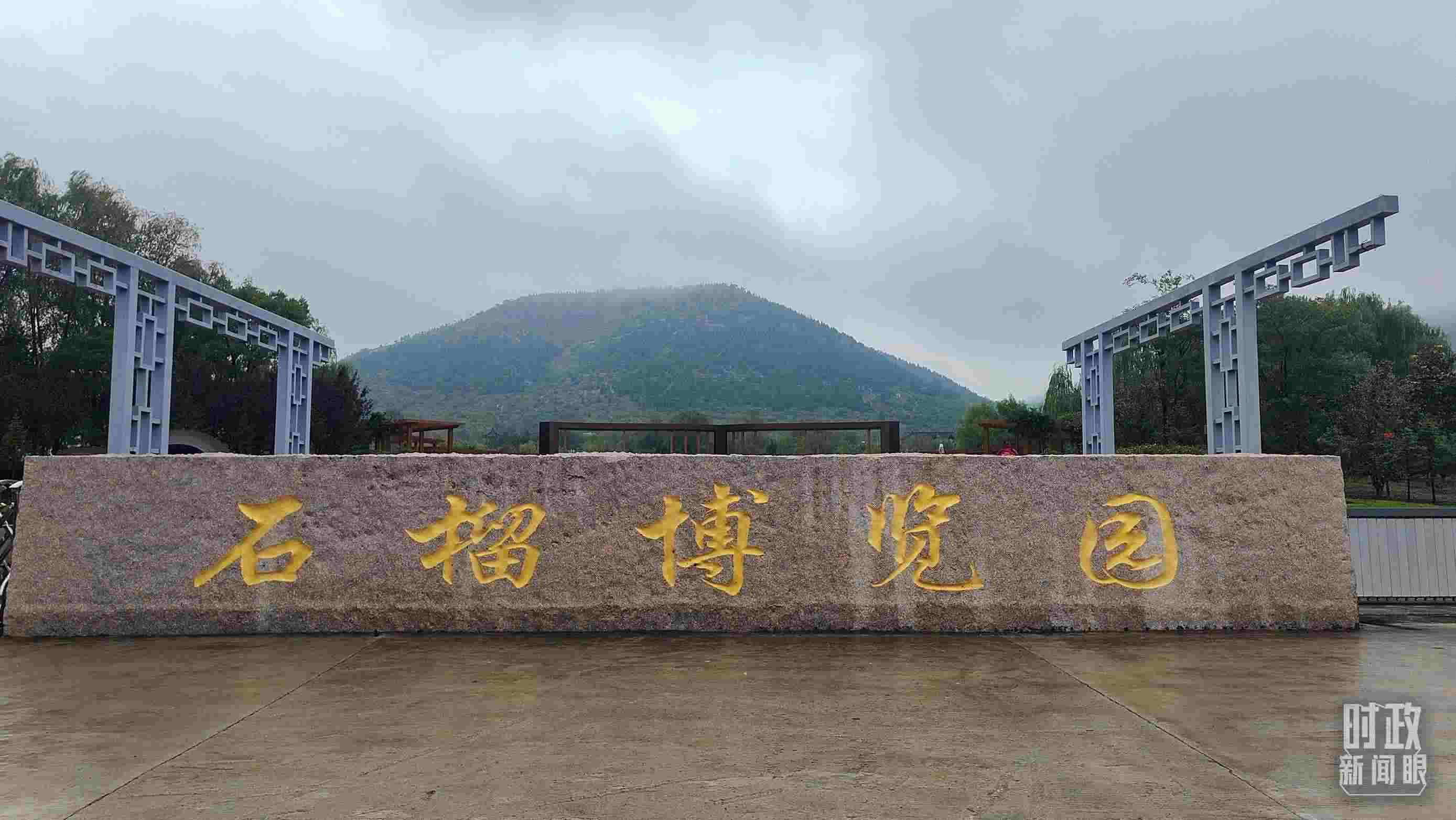 △石榴種質(zhì)資源庫位于石榴博覽園內(nèi)。（總臺央視記者楊立峰拍攝）