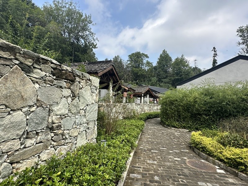 眾多民宿坐落于夫子山山麓。人民網(wǎng) 王紹紹攝