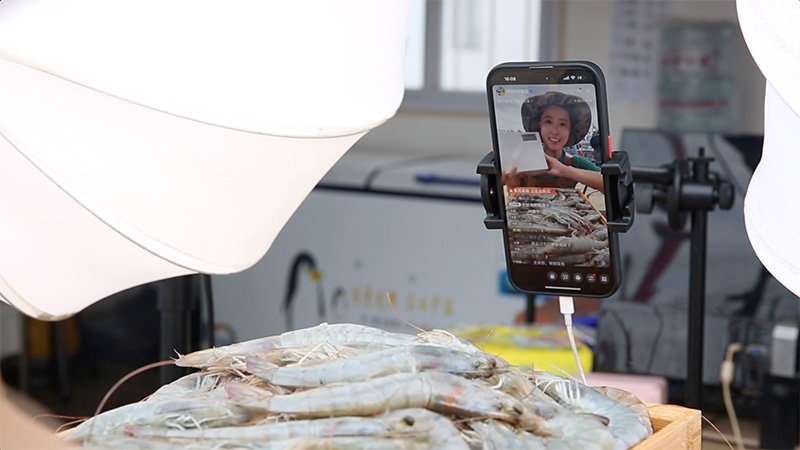 江蘇連云港，村民進(jìn)行直播銷售。范堯攝