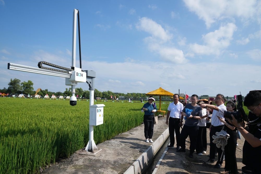 在北大荒集團閆家崗農(nóng)場有限公司農(nóng)業(yè)現(xiàn)代化示范區(qū)，工作人員在介紹利用數(shù)字技術(shù)的葉齡診斷儀（2023年8月10日攝）。新華社記者 王建威 攝