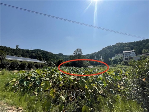 曾經(jīng)的圣水園所在地。 人民網(wǎng)記者 楊喬攝