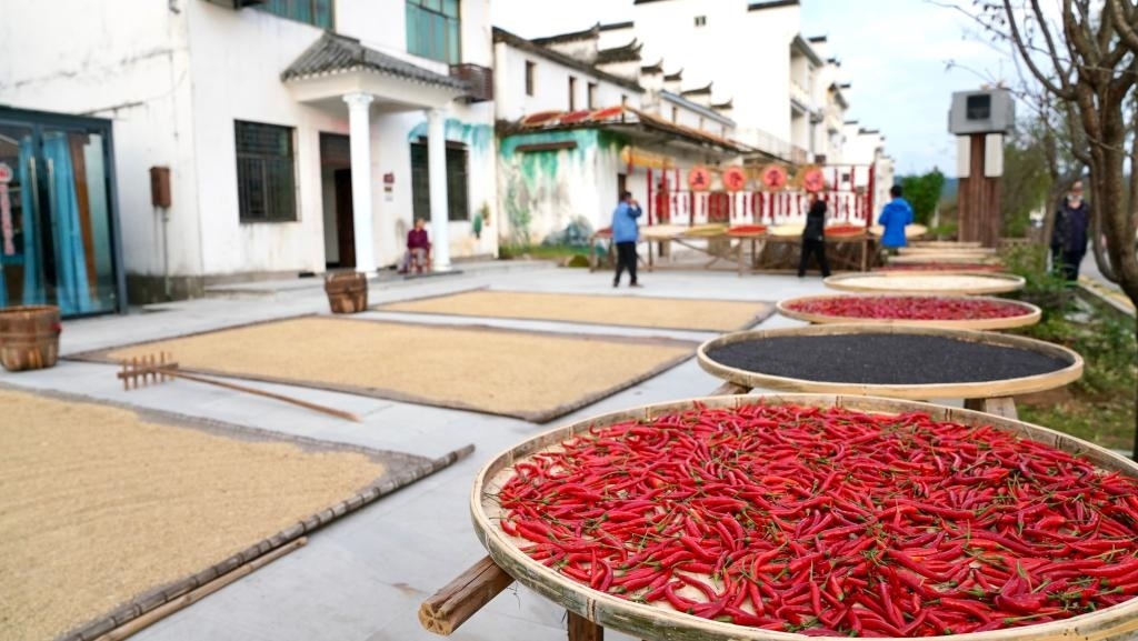 近日拍攝的江西省上饒市婺源縣秋口鎮(zhèn)王村石門自然村。新華社記者 胡晨歡 攝