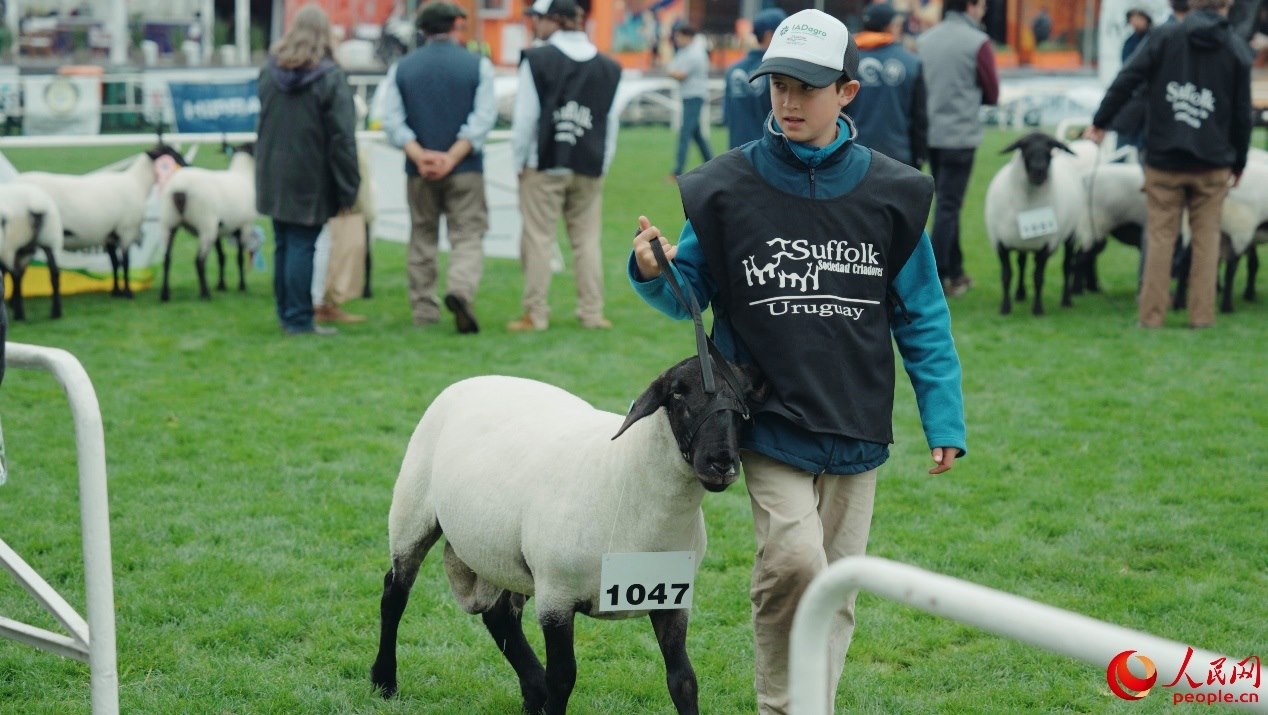 烏拉圭第118屆普拉多牧農業(yè)國際博覽會現(xiàn)場。人民網記者 張若涵攝
