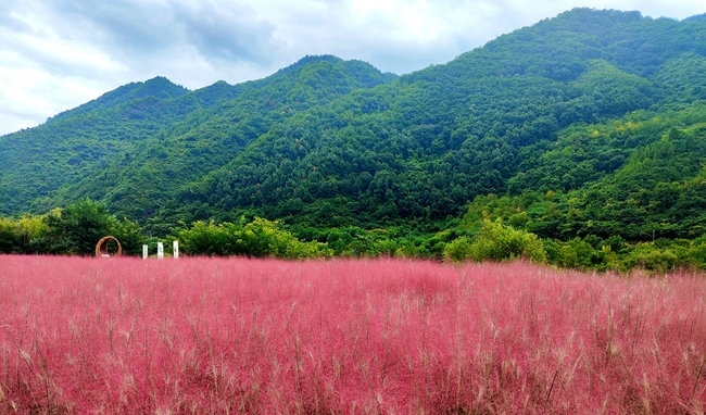 寶成線鳳縣境內(nèi)的路邊。