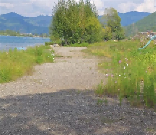 王軍所說被填區(qū)域。 人民網(wǎng)記者 黃鈺攝