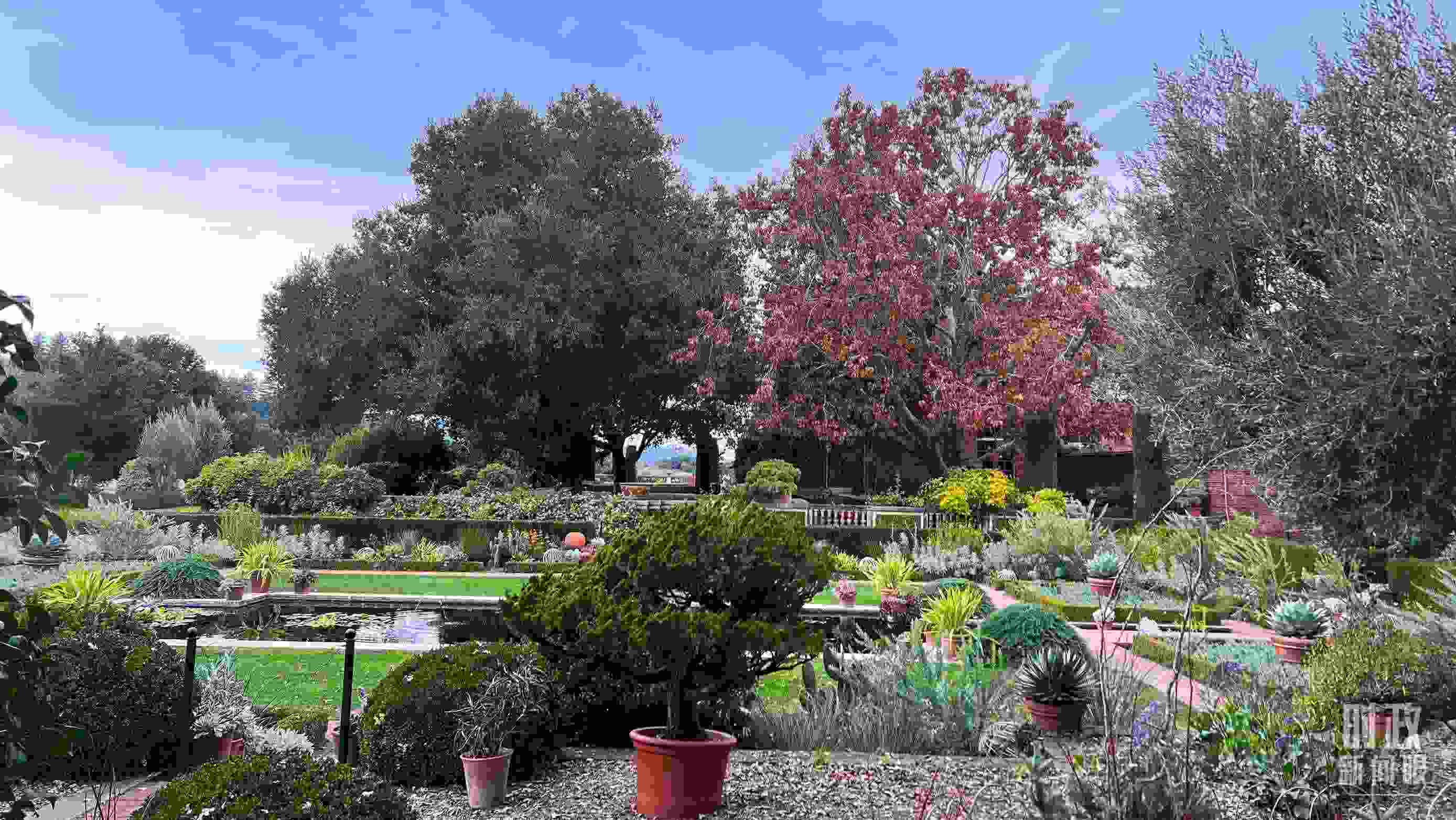 斐洛里莊園被稱(chēng)作美國(guó)20世紀(jì)現(xiàn)存最精美鄉(xiāng)村莊園之一。（總臺(tái)央視記者程鋮拍攝）