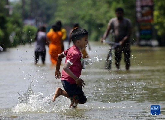 11月24日，一名男孩在斯里蘭卡加姆珀哈涉水出行。新華社發(fā)（阿吉特·佩雷拉攝）