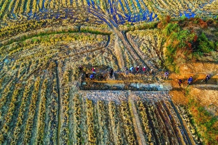 良渚遺址考古發(fā)掘現(xiàn)場。