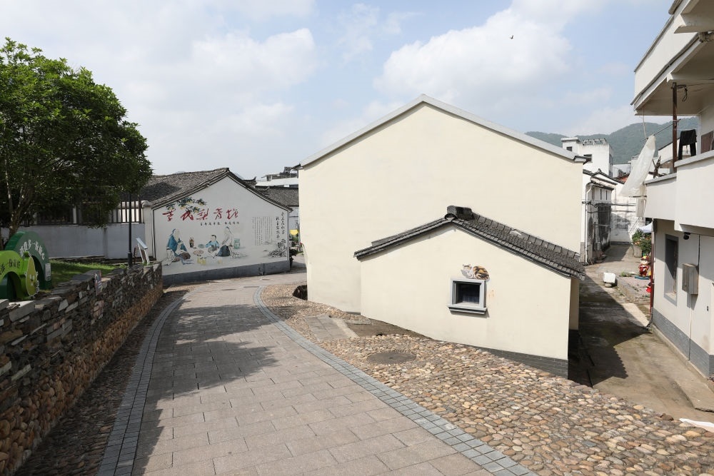 浙江省義烏市李祖村一景（2023年5月23日攝）。新華社記者 杜瀟逸 攝