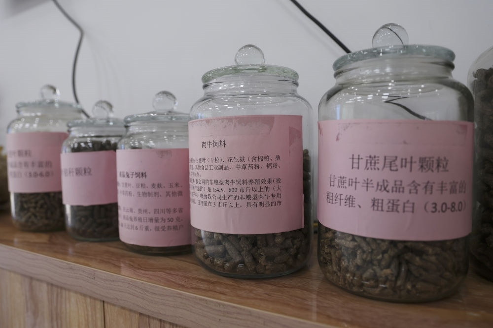 這是12月13日在來賓市興賓區(qū)小平陽鎮(zhèn)一家飼料廠拍攝的以甘蔗尾葉為原料制成的飼料。