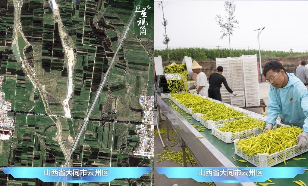 當(dāng)前，大同市開發(fā)黃花菜品、食品、飲品、功能食品、化妝品、文創(chuàng)產(chǎn)品六大系列130余種，全產(chǎn)業(yè)鏈產(chǎn)值超40億元。