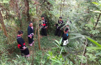 “瑤老”人民調(diào)解員翻山越嶺開展現(xiàn)場(chǎng)調(diào)解。