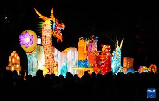 2月11日晚，人們在濟(jì)南市趵突泉公園觀賞花燈。