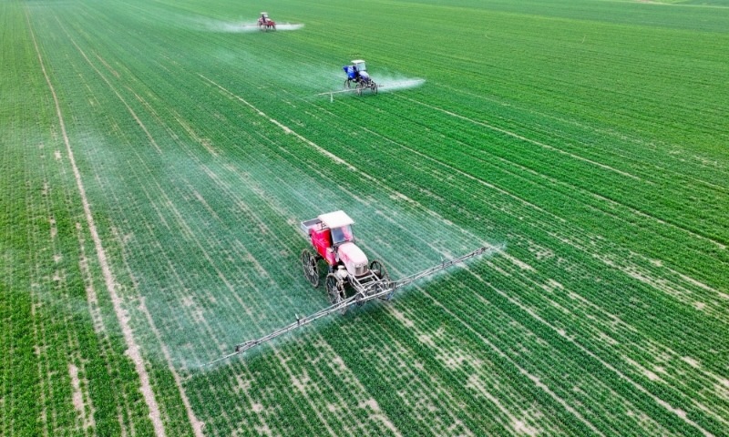 2024年2月18日，安徽省亳州市，利辛縣紀(jì)王場(chǎng)鄉(xiāng)孫老家村麥田，農(nóng)民駕駛自走式高桿噴霧機(jī)對(duì)小麥進(jìn)行噴藥作業(yè)。