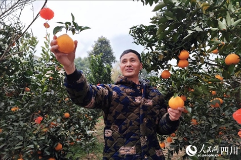 鐵牛村村民趙光進。人民網(wǎng)記者 朱虹攝