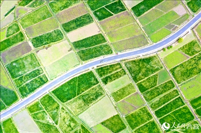 無(wú)人機(jī)視角下的西藏山南市瓊結(jié)農(nóng)田。人民網(wǎng)記者 次仁羅布攝