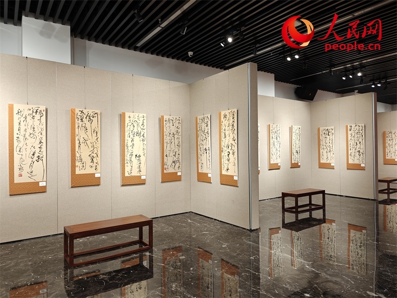 展廳現(xiàn)場。人民網(wǎng)記者 韋衍行攝