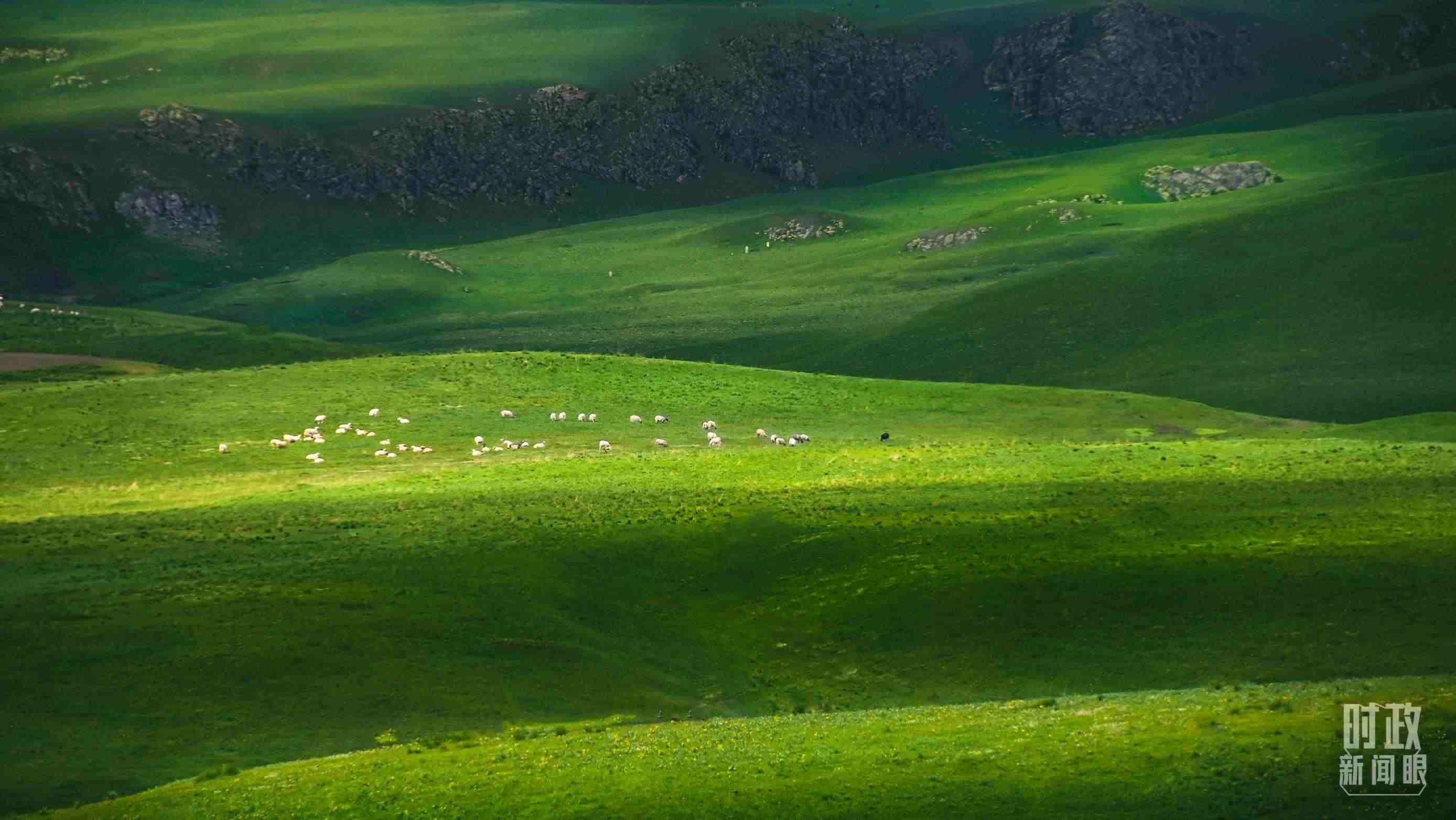 △祁連山草原光影。（圖/視覺中國）