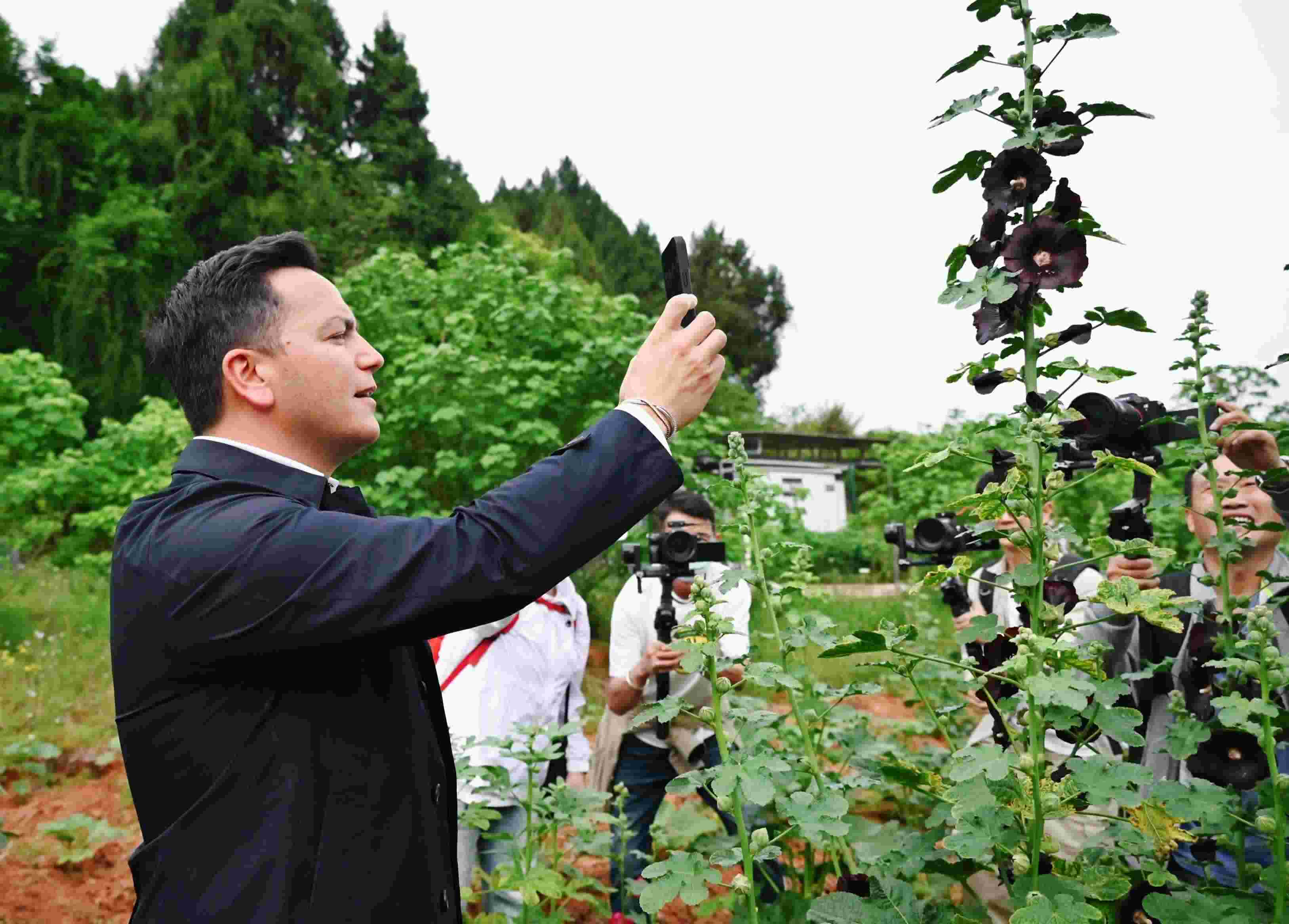  △2024年4月23日，國際園藝生產(chǎn)者協(xié)會主席萊昂納多·卡皮塔尼奧在成都市金堂縣鮮花山谷景區(qū)考察蜀葵產(chǎn)業(yè)。