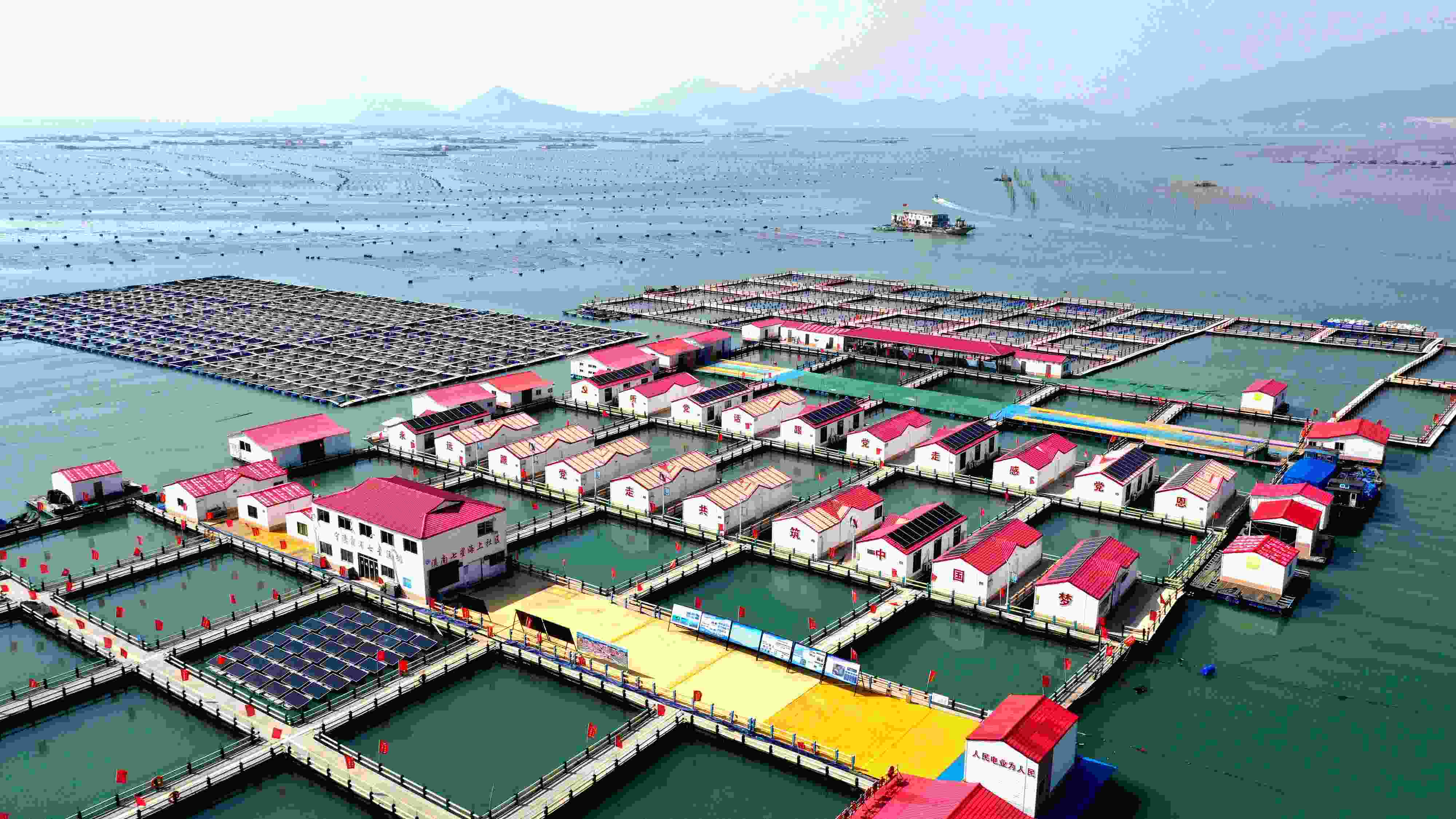 2024年3月20日，福建省寧德市，霞浦縣溪南鎮(zhèn)七星村漁排養(yǎng)殖示范區(qū)，漁民駕駛養(yǎng)殖船進(jìn)行海參養(yǎng)殖作業(yè)。