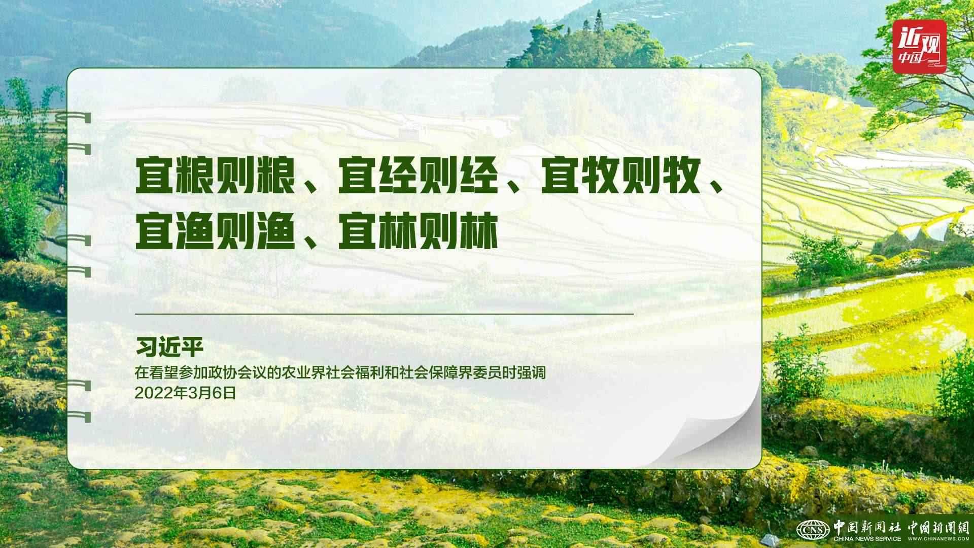 習(xí)近平：樹立大食物觀，構(gòu)建多元化食物供給體系