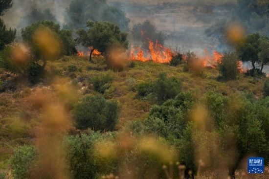 6月12日，以色列北部加利利地區(qū)遭受火箭彈襲擊后冒出滾滾濃煙。新華社發(fā)（阿亞爾·馬戈林?jǐn)z/基尼圖片社）