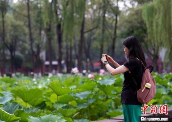 6月19日，時值一年畢業(yè)季，四川大學(xué)望江校區(qū)荷花池里的荷花盛開，成為了畢業(yè)生們的打卡圣地，吸引了眾多畢業(yè)生拍照留念。圖為畢業(yè)生在荷花池邊拍照留念。中新社記者 安源 攝