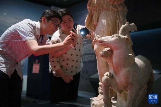 7月2日，安徽博物院工作人員在拍攝開箱后的古希臘文物。新華社記者 張端 攝