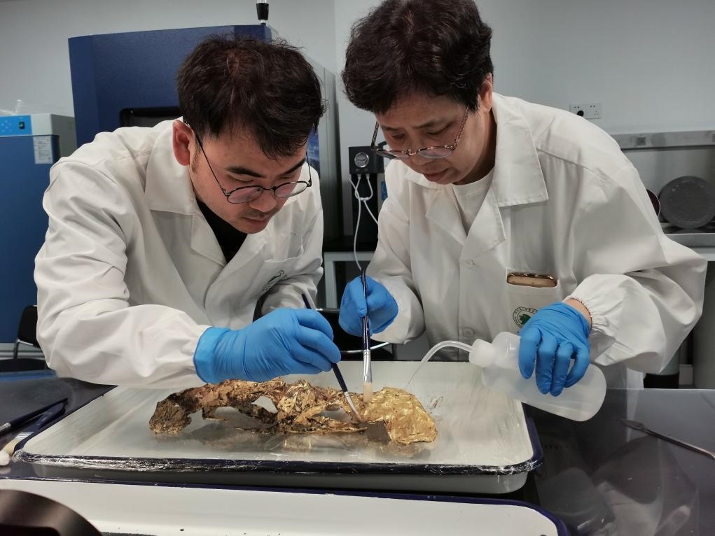 2023年7月，馬燕如（右）帶著魯海子（左）修復(fù)三星堆遺址出土的黃金面具。新華社發(fā)（四川省文物考古研究院供圖）