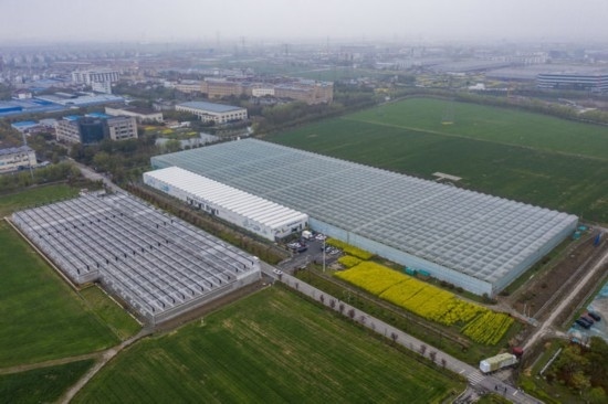 2024年3月28日，空中俯瞰嘉興南湖區(qū)湘家蕩農(nóng)業(yè)數(shù)字化工廠（無人機(jī)照片）。該農(nóng)業(yè)數(shù)字化工廠占地總面積約62畝，包含智慧農(nóng)業(yè)生產(chǎn)、物聯(lián)網(wǎng)智能管理、自動(dòng)分揀包裝、保鮮儲藏物流、高科技示范展示等五大功能區(qū)，可直接或間接培養(yǎng)帶動(dòng)新型職業(yè)技術(shù)農(nóng)民500人以上。新華社記者 徐昱 攝