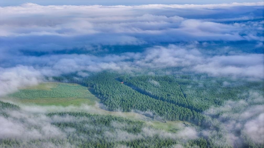 2024年7月26日拍攝的塞罕壩國家級(jí)自然保護(hù)區(qū)景色。新華社發(fā)（劉滿倉 攝）