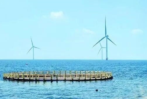 △山東萊州風電項目實現(xiàn)了海上風電和海洋牧場融合發(fā)展。
