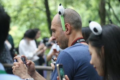 俄羅斯《俄羅斯報(bào)》視覺(jué)內(nèi)容編輯阿爾圖爾·杰魯諾夫在拍攝熊貓。（李佩藺 攝）