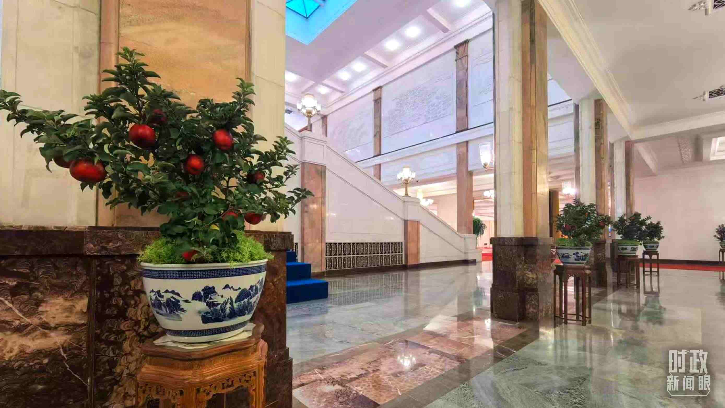  △大會堂內(nèi)的“碩果累累”盆栽。（總臺國廣記者吳倩拍攝）