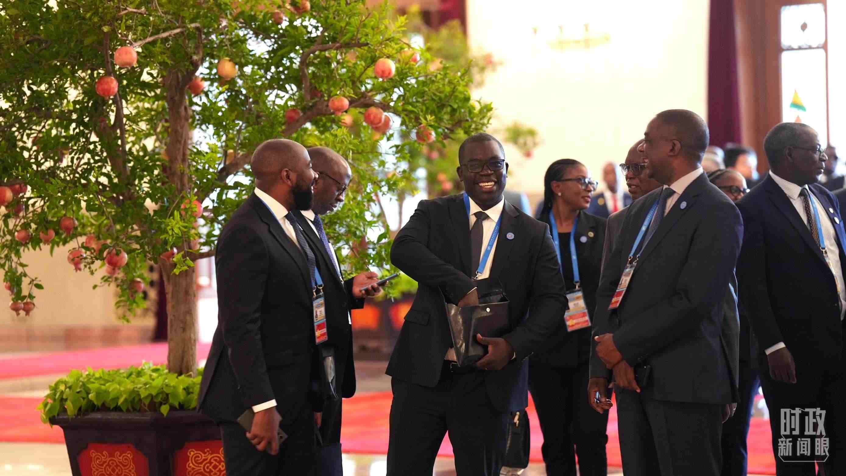 出席中非合作論壇北京峰會的非洲國家代表。（總臺記者李晉拍攝）