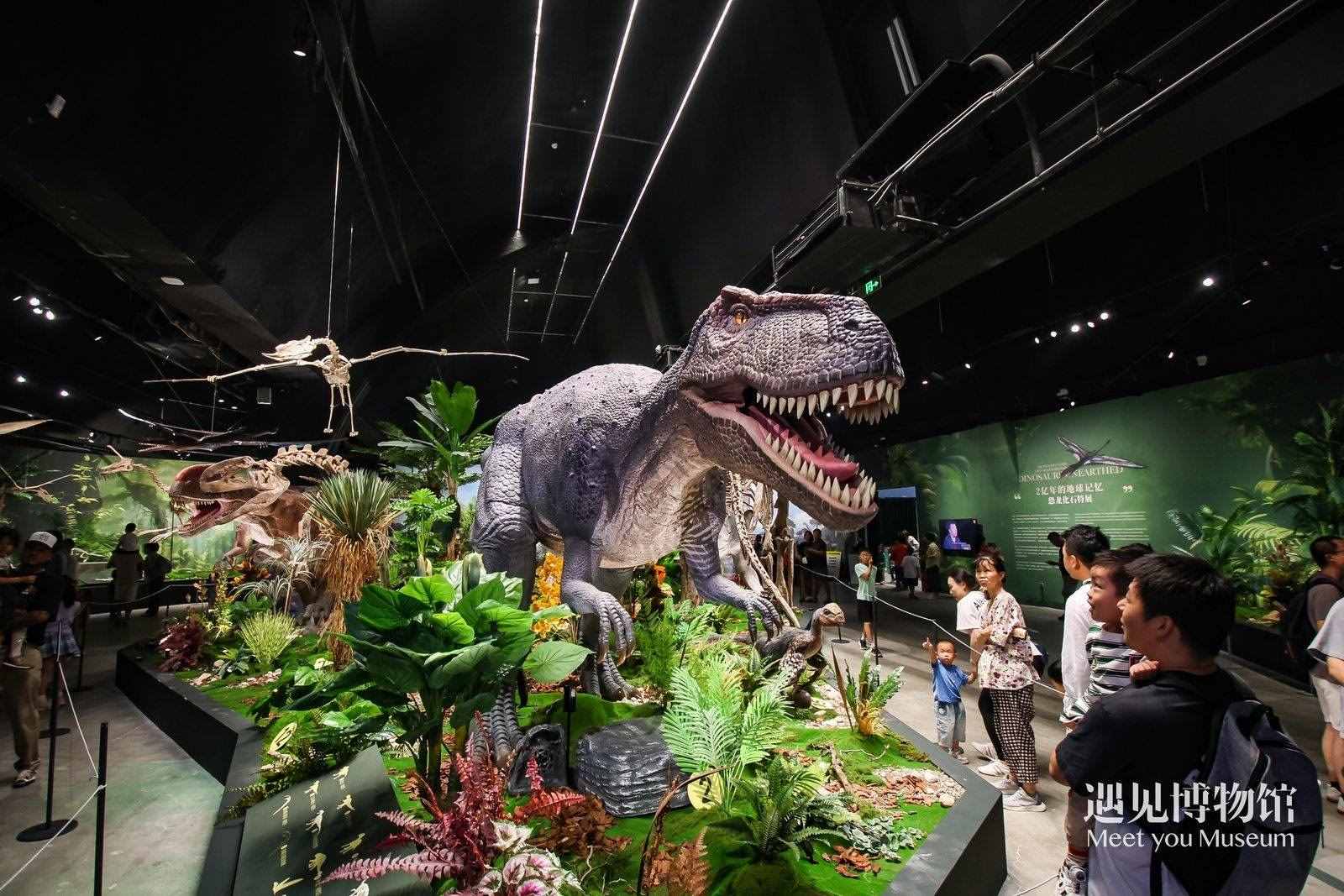 2. 游客參觀“2億年的地球記憶——恐龍化石特展”。遇見(jiàn)博物館供圖