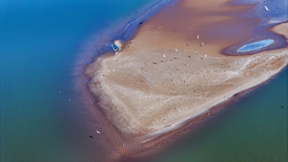 2024年3月1日拍攝的黃河寧夏段（無(wú)人機(jī)照片）。