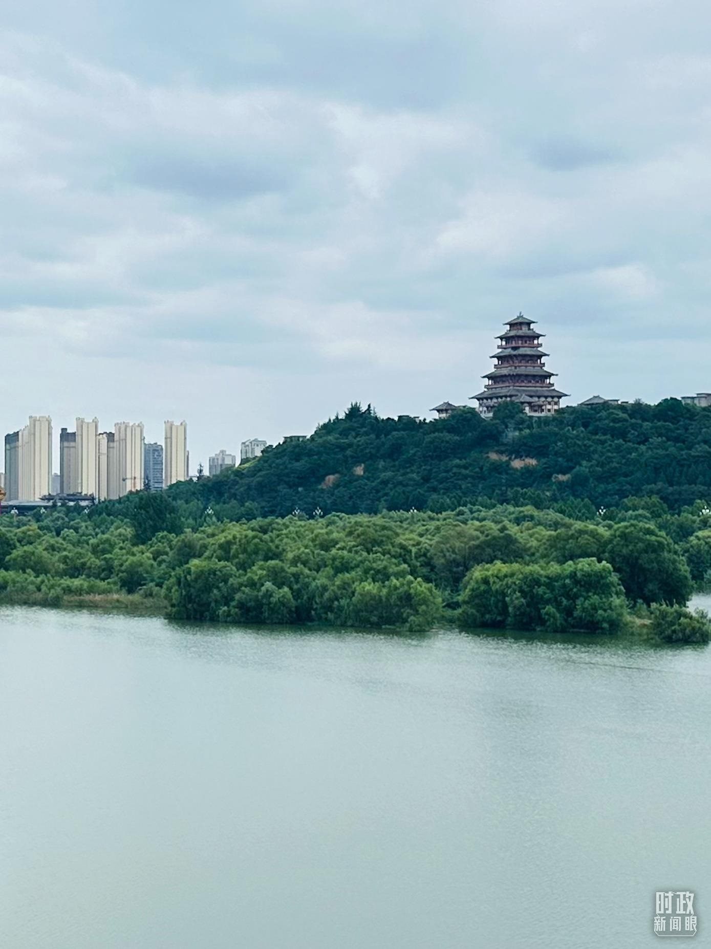 △渭河寶雞段長224公里，目前建成17處渭河灘區(qū)生態(tài)涵養(yǎng)區(qū)。（總臺央視記者范一鳴拍攝）