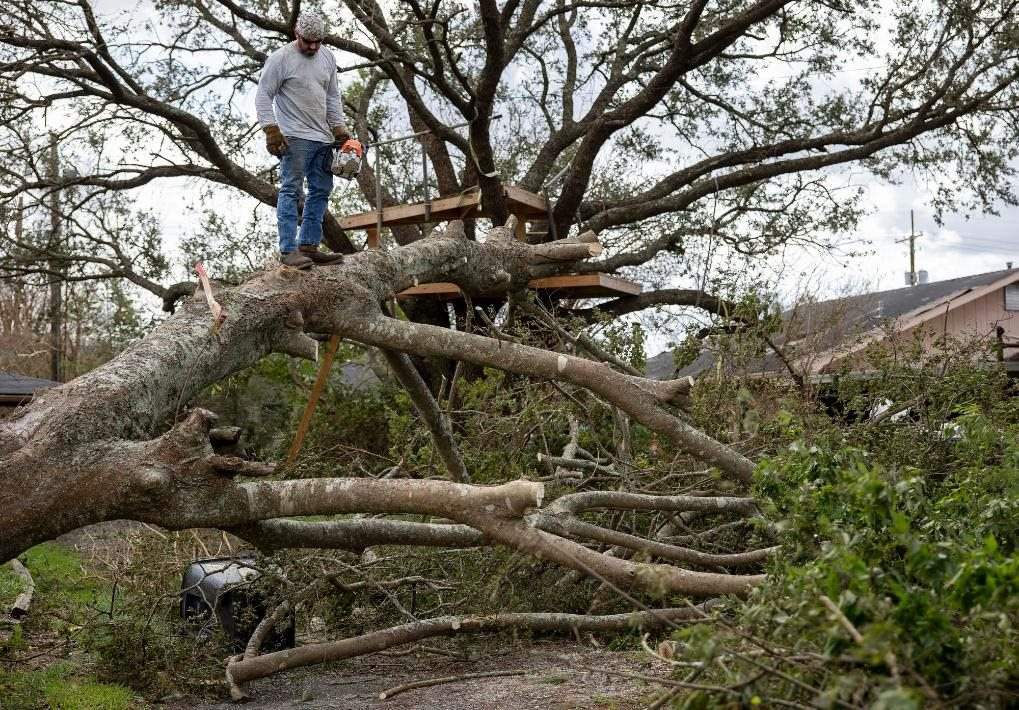 2021年8月30日，在美國(guó)路易斯安那州霍馬，一名男子站在被颶風(fēng)吹倒的大樹(shù)上。新華社發(fā)（尼克·瓦格納 攝）