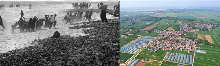 拼版照片：左圖為蘭考群眾在拉淤土壓沙（新華社記者 鄧歷耕 攝）；右圖為2024年4月25日拍攝的蘭考縣張莊村（無人機照片，新華社記者 郝源 攝）。