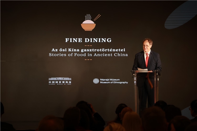 匈牙利文化和創(chuàng)新部副國務(wù)秘書喬鮑致辭。圖片由中國駐匈牙利大使館提供。