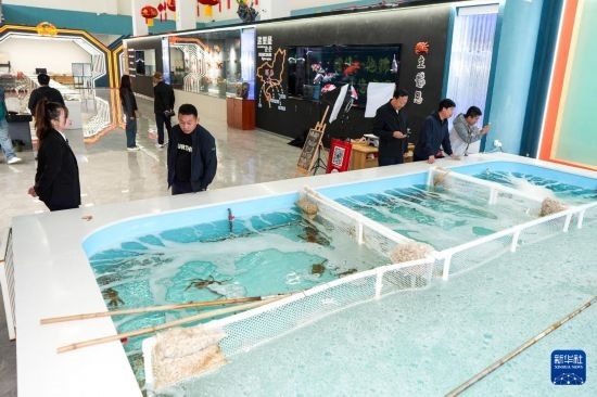 9月20日，游客在吉林省琿春市的帝王蟹保稅店內(nèi)選購帝王蟹。新華社記者 許暢 攝