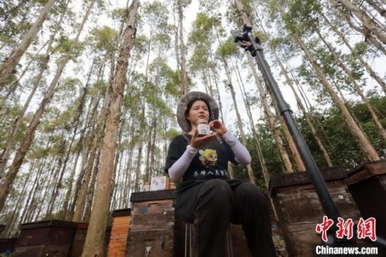 吳素英在網(wǎng)絡(luò)平臺直播介紹蜜蜂和養(yǎng)蜂情況。湯曉逵 攝