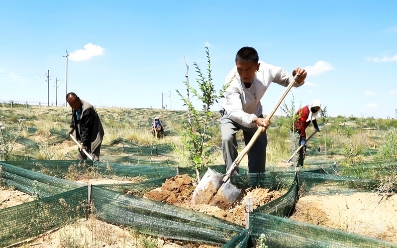 郭璽（前）與村民在防沙方格中植樹（央廣網(wǎng)發(fā) 古浪縣融媒體中心供圖）