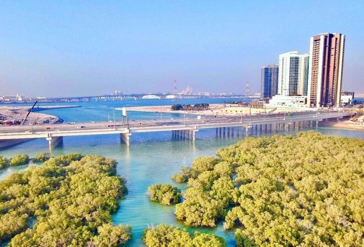 圖為瑞姆橋施工現(xiàn)場。中國土木供圖