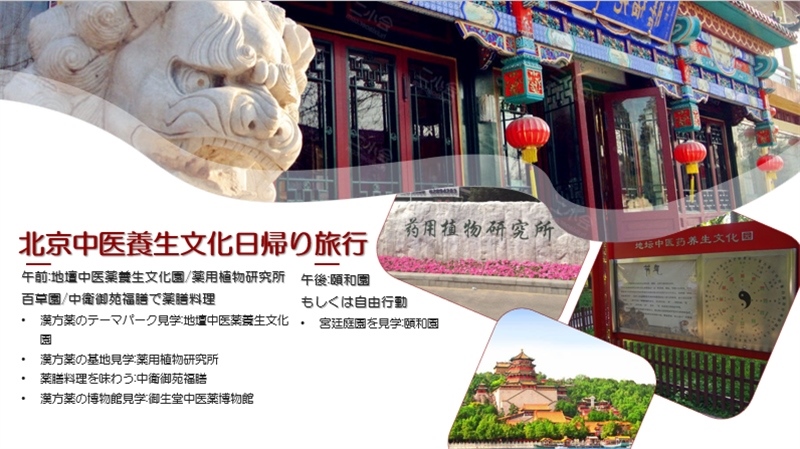 “你好！中國·休閑旅游—中國旅游說明會”宣講材料。中國駐東京旅游辦事處供圖