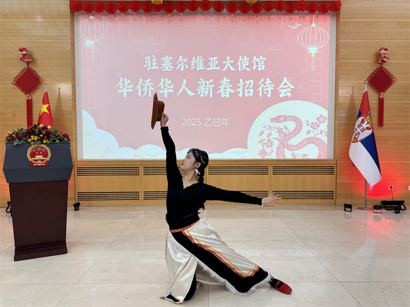 招待會(huì)現(xiàn)場(chǎng)表演。諾維薩德孔子學(xué)院供圖