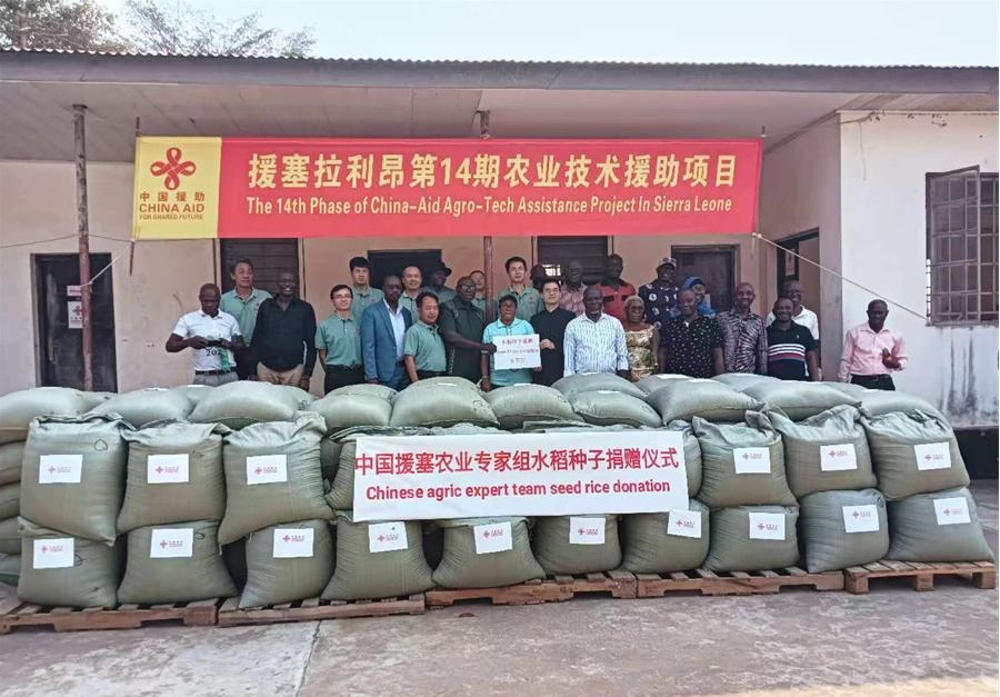 中國(guó)援塞拉利昂農(nóng)業(yè)專家組在塞南方省博城舉辦水稻種子捐贈(zèng)儀式。中國(guó)援塞農(nóng)業(yè)專家組供圖