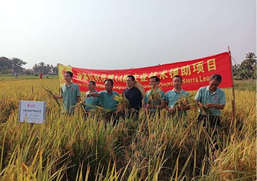 中國(guó)駐塞拉利昂大使王擎和援塞農(nóng)業(yè)專家組合影。中國(guó)援塞農(nóng)業(yè)專家組供圖