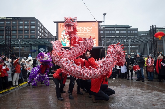 舞龍、舞獅表演。中國(guó)駐芬蘭大使館供圖